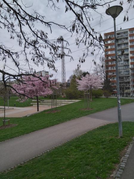 park